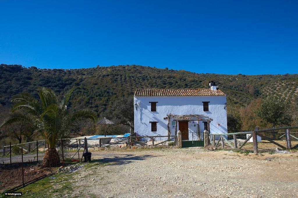 Hotel Enrique Calvillo El Bosque Zimmer foto