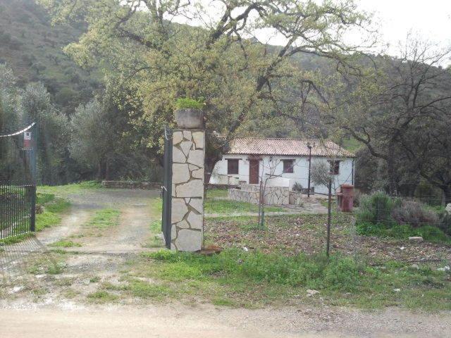 Hotel Enrique Calvillo El Bosque Zimmer foto